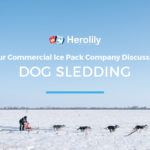 dog sledding