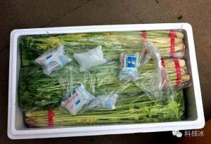 Vegetable       